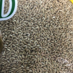 Produits Pour Oiseaux -Produits Pour Oiseaux alpiste 20kg manitoba 1