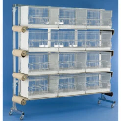 Batterie D'élevage 12 Cages - 60x31x35cm -Produits Pour Oiseaux batterie d elevage 12 cages 60x31x35cm 1 3
