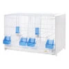 Cage D'élevage Pliable 58x30x39h Cm 1 Cage D'élevage Pliable 58x30x39h Cm -Produits Pour Oiseaux cage d elevage pliable 58x30x39h cm