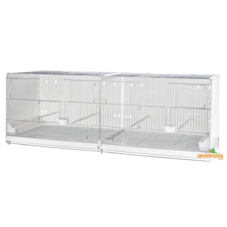 Cage D'élevage Pliable "Sestriere" 120x40x40 Cm 3 Cage D'élevage Pliable "Sestriere" 120x40x40 Cm
