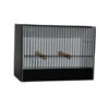 Cage D'exposition Caille Et Euphèmes En PVC -Produits Pour Oiseaux cage expo en pvc caille eupheme devanture noire
