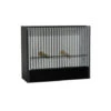 Cage D'exposition Canaris En PVC (23 Barreaux) -Produits Pour Oiseaux cage expo en pvc canari devanture noire