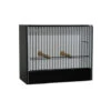 Cage D'exposition Petite Perruche -Produits Pour Oiseaux cage expo en pvc perruche ondulee devanture noire