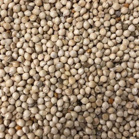 Germix Exotique 4kg 4 Germix Exotique 4kg – Image 2