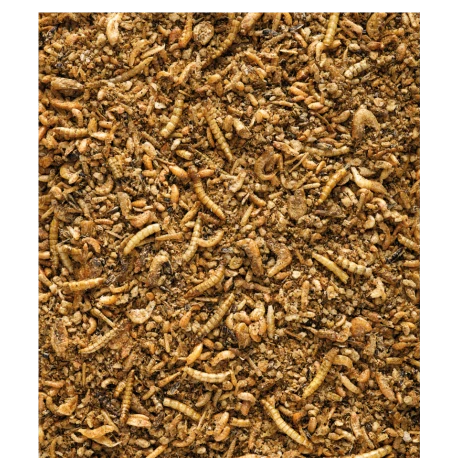 VERSELE-LAGA Insect Patee Premium 500g - Aliment Complet Pour Tous Les Insectivores 4 VERSELE-LAGA Insect Patee Premium 500g - Aliment Complet Pour Tous Les Insectivores – Image 2