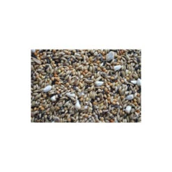 Mélange De Graines Forpus Neophema 20kg - Braet