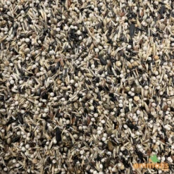 Mélange De Graines Pour Tarins Américains Et Européens 15kg - Hoebre -Produits Pour Oiseaux melange de graines pour tarins americains et europeens 15kg 2