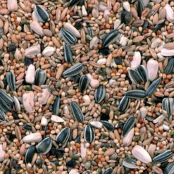 Grandes Perruches Duvo 20 Kg -Produits Pour Oiseaux melange pour grandes perruches 20 kg duvo 3