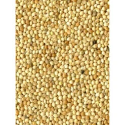 Millet Blanc 20kg
