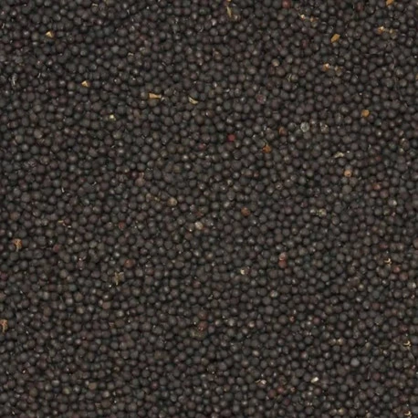 Navette 20kg 3 Navette 20kg