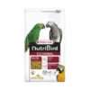 VERSELE-LAGA Nutribird P15 Original 3kg - Granulés Extrudés - Aliment D'entretien Pour Perroquets 2 VERSELE-LAGA Nutribird P15 Original 3kg - Granulés Extrudés - Aliment D'entretien Pour Perroquets -Produits Pour Oiseaux nutribird p15 original 3kg granules extrudes aliment d entretien pour perroquets